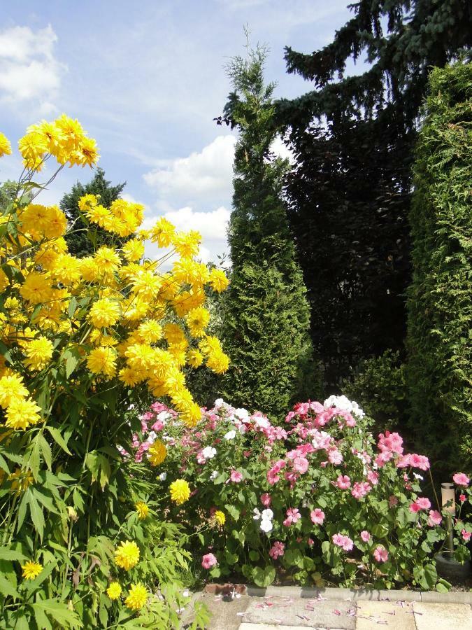 Sommerhaus Im Grunen ベルリン エクステリア 写真